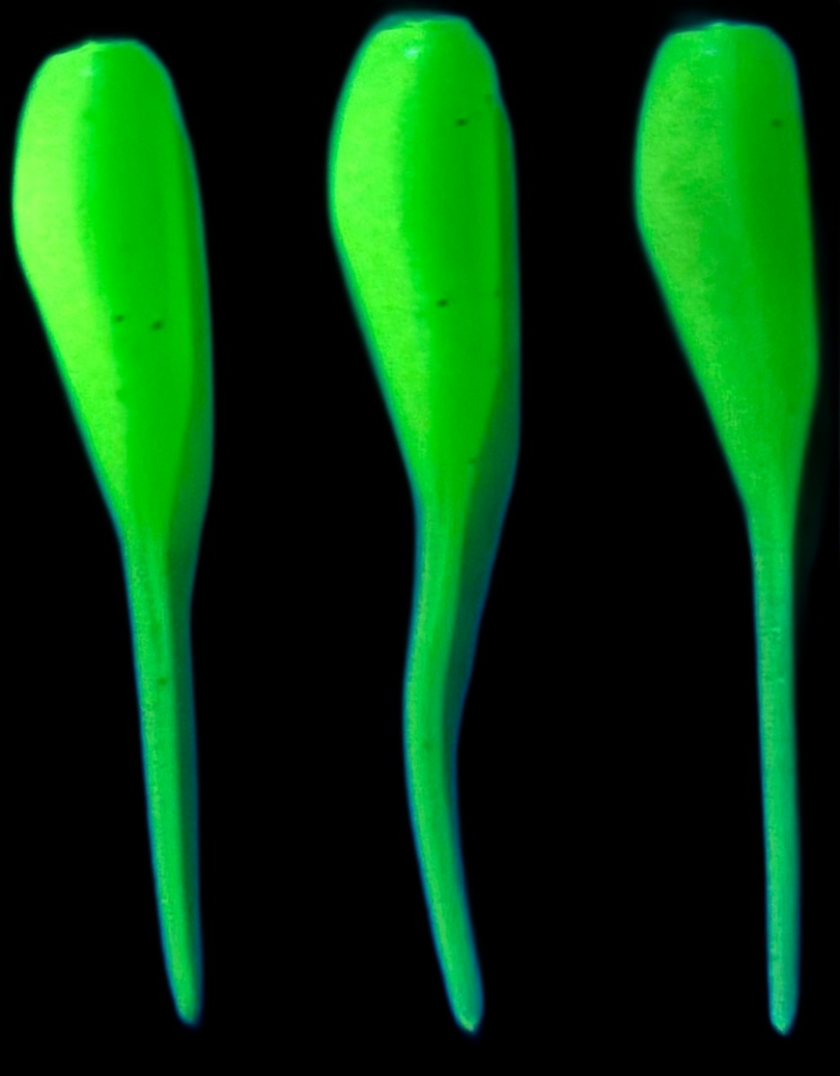 Green Glow